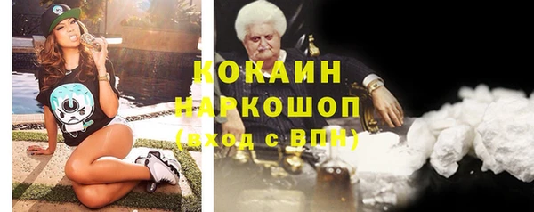 крисы Верхний Тагил