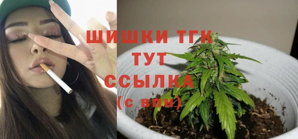 крисы Верхний Тагил