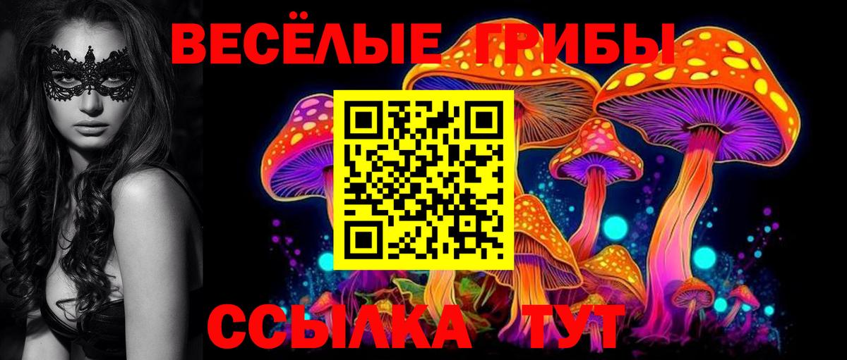 Железногорск  Псилоцибиновые грибы Psilocybine cubensis  Вход с VPN  Псилоцибиновые грибы MAGIC MUSHROOMS 