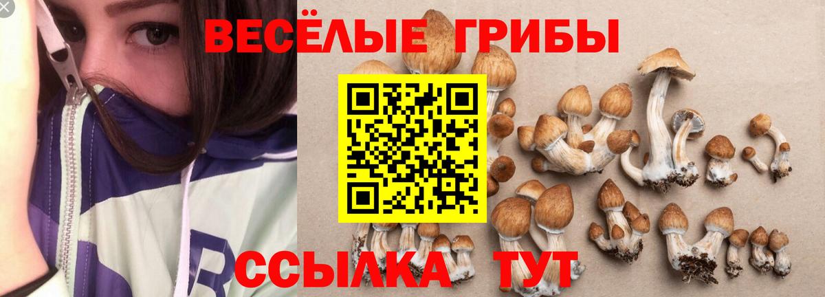 Псилоцибиновые грибы ЛСД Железногорск