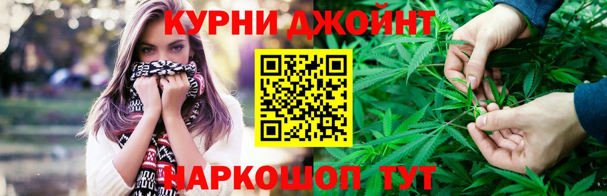 Железногорск  Бошки Шишки сатива  Бошки Шишки семена  Бошки Шишки гибрид  Вход с VPN  Конопля гибрид 